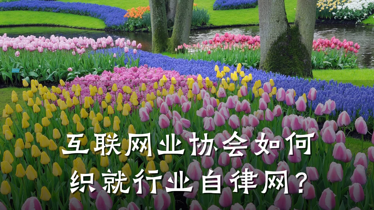 互联网业协会如何织就行业自律网?