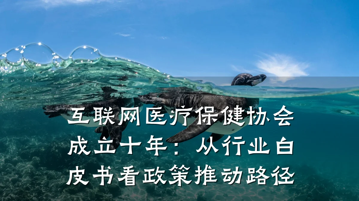 互联网医疗保健协会成立十年:从行业白皮书看政策推动路径