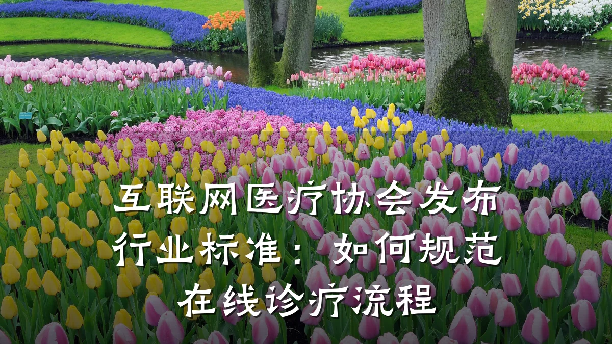 互联网医疗协会发布行业标准:如何规范在线诊疗流程