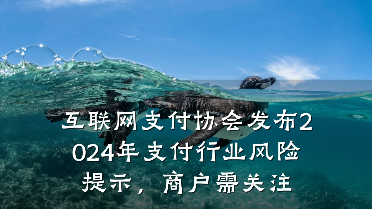 互联网支付协会发布2024年支付行业风险提示,商户需关注
