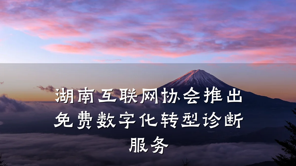 湖南互联网协会推出免费数字化转型诊断服务