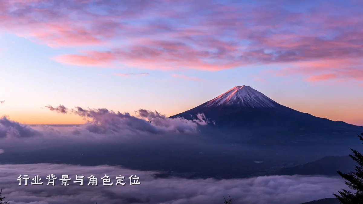 行业背景与角色定位