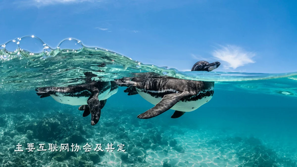 主要互联网协会及其定