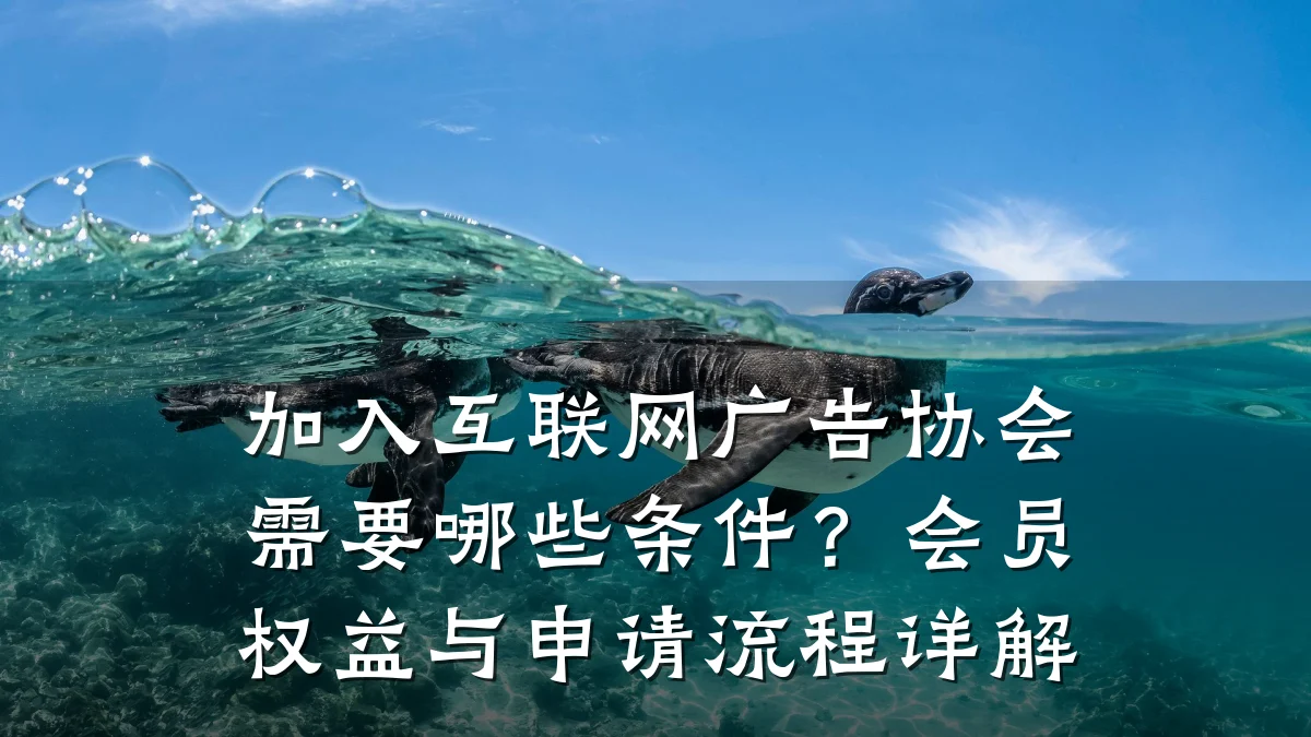 加入互联网广告协会需要哪些条件?会员权益与申请流程详解
