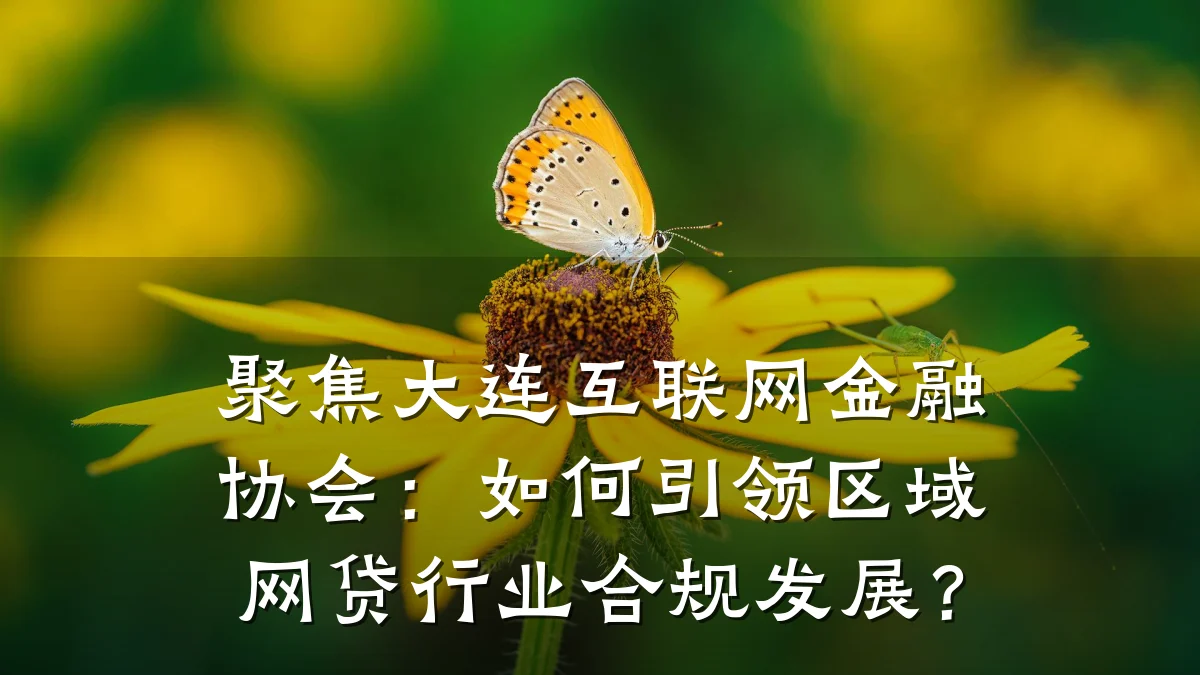 聚焦大连互联网金融协会:如何引领区域网贷行业合规发展?