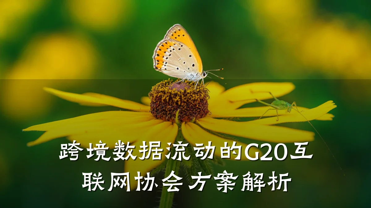 跨境数据流动的G20互联网协会方案解析