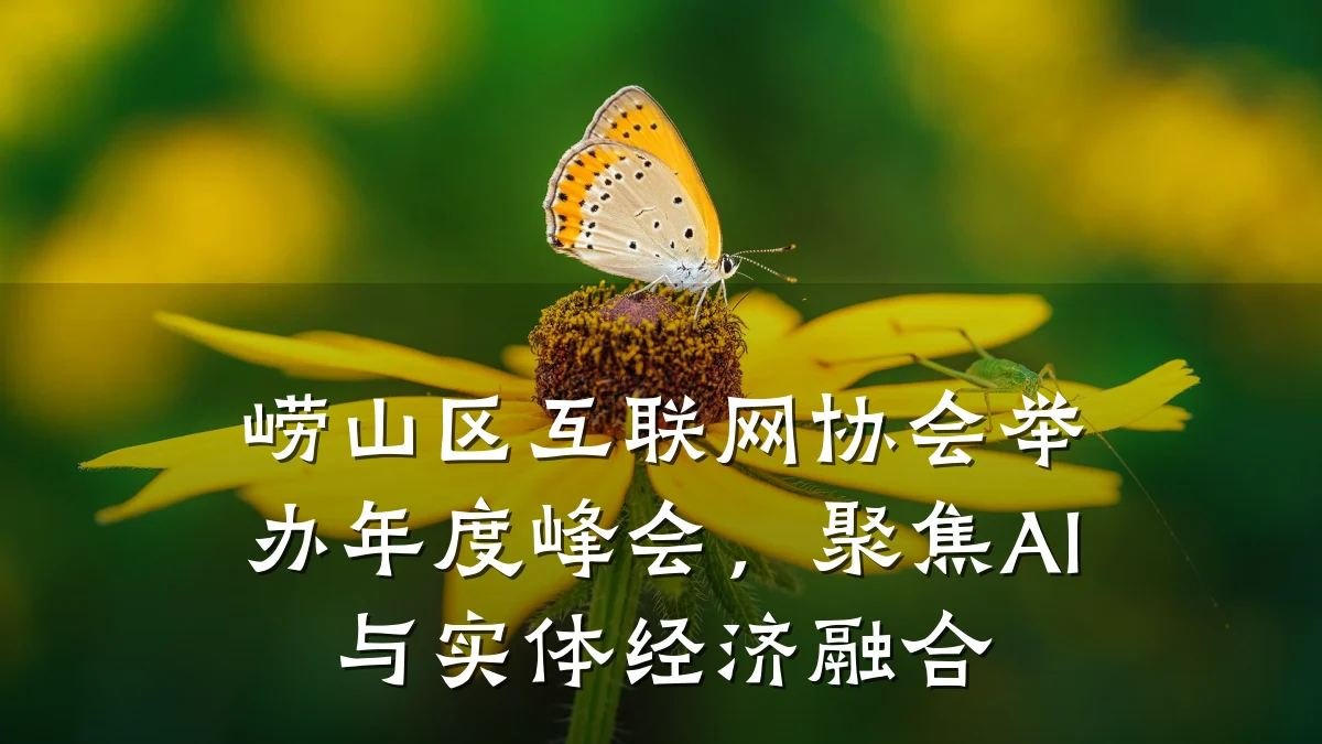 崂山区互联网协会举办年度峰会，聚焦AI与实体经济融合