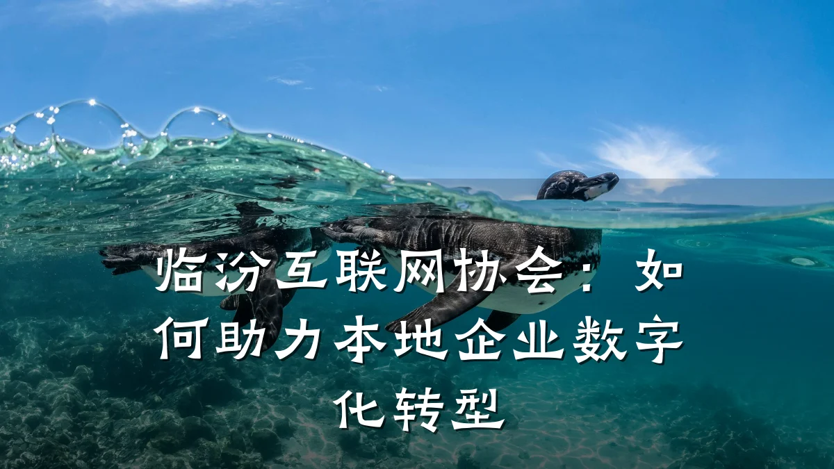 临汾互联网协会:如何助力本地企业数字化转型