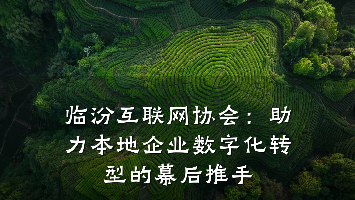 临汾互联网协会:助力本地企业数字化转型的幕后推手