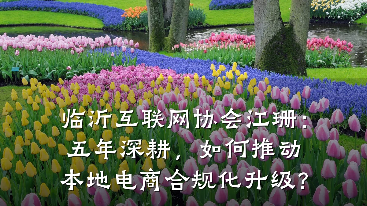 临沂互联网协会江珊：五年深耕，如何推动本地电商合规化升级？