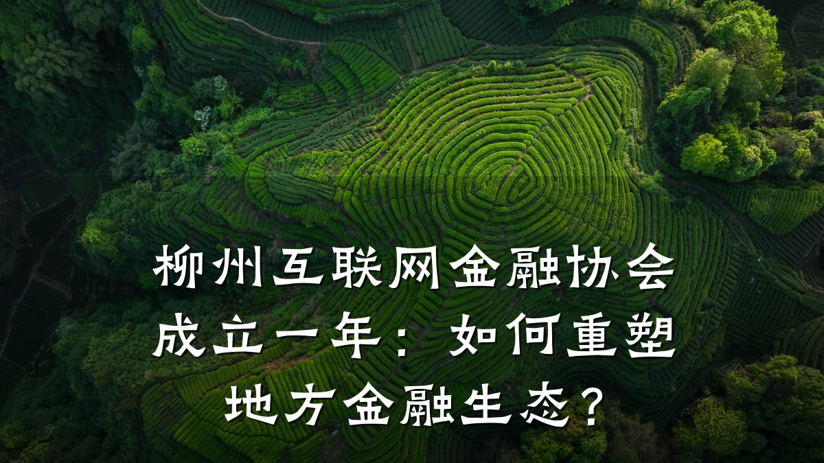 柳州互联网金融协会成立一年:如何重塑地方金融生态?