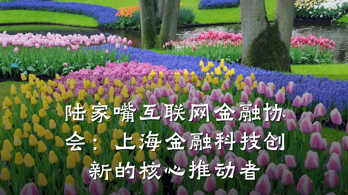 陆家嘴互联网金融协会:上海金融科技创新的核心推动者