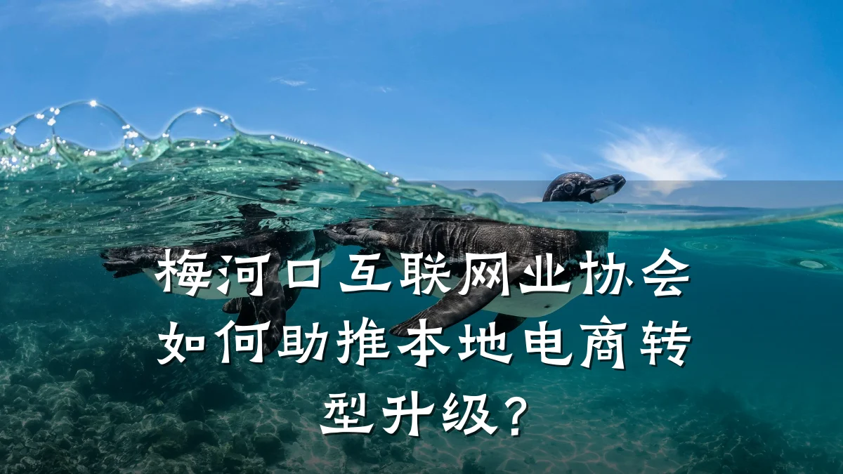 梅河口互联网业协会如何助推本地电商转型升级？