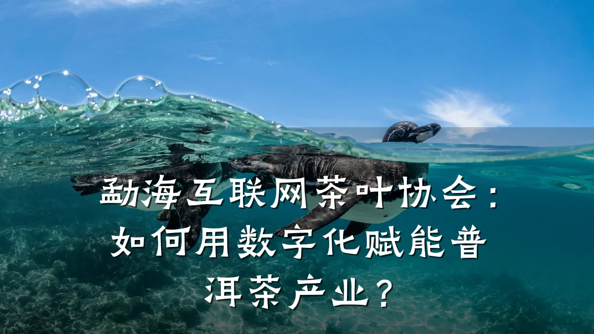 勐海互联网茶叶协会:如何用数字化赋能普洱茶产业?