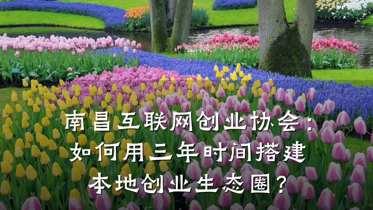 南昌互联网创业协会:如何用三年时间搭建本地创业生态圈?
