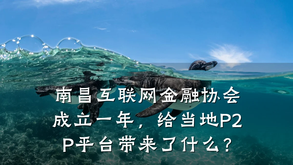 南昌互联网金融协会成立一年,给当地P2P平台带来了什么?