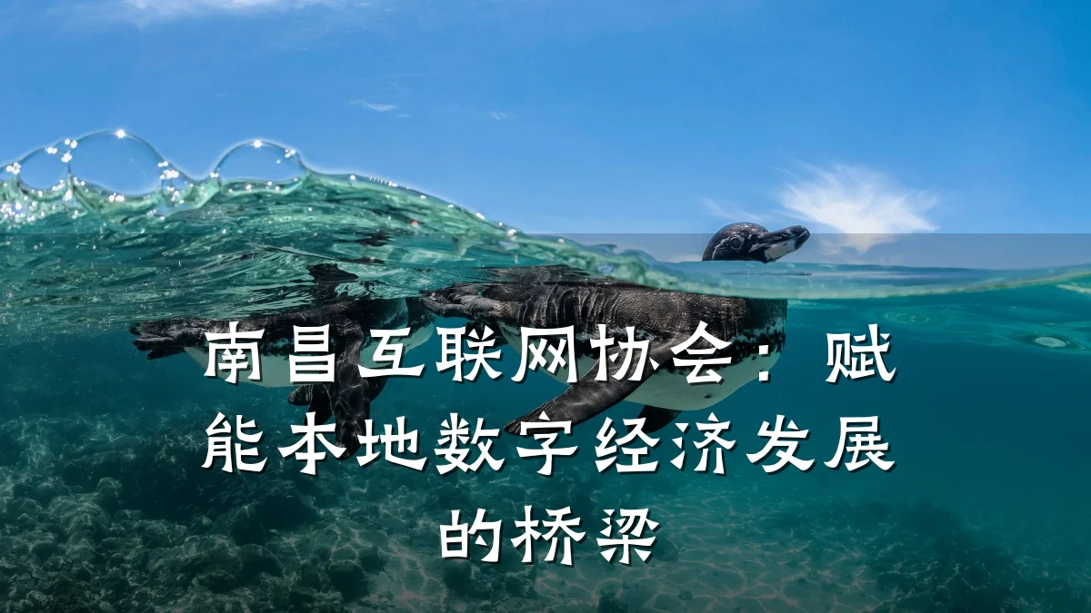 南昌互联网协会:赋能本地数字经济发展的桥梁