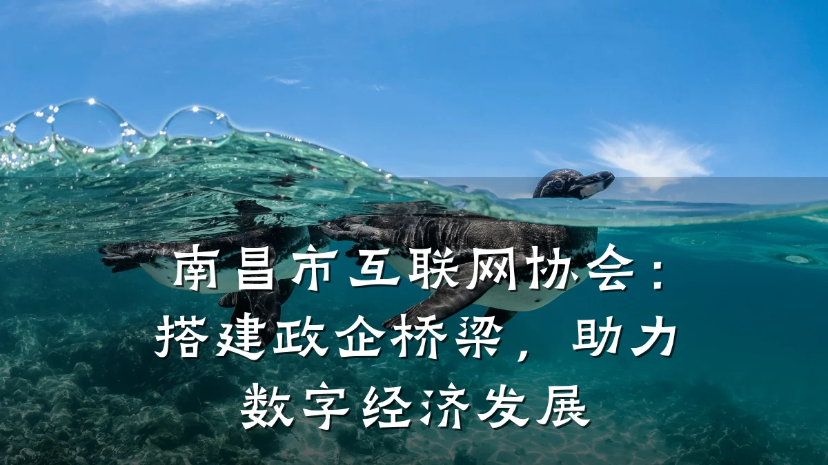 南昌市互联网协会:搭建政企桥梁,助力数字经济发展