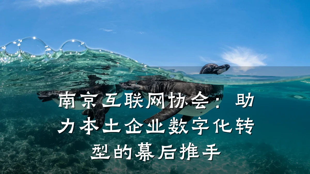 南京互联网协会:助力本土企业数字化转型的幕后推手