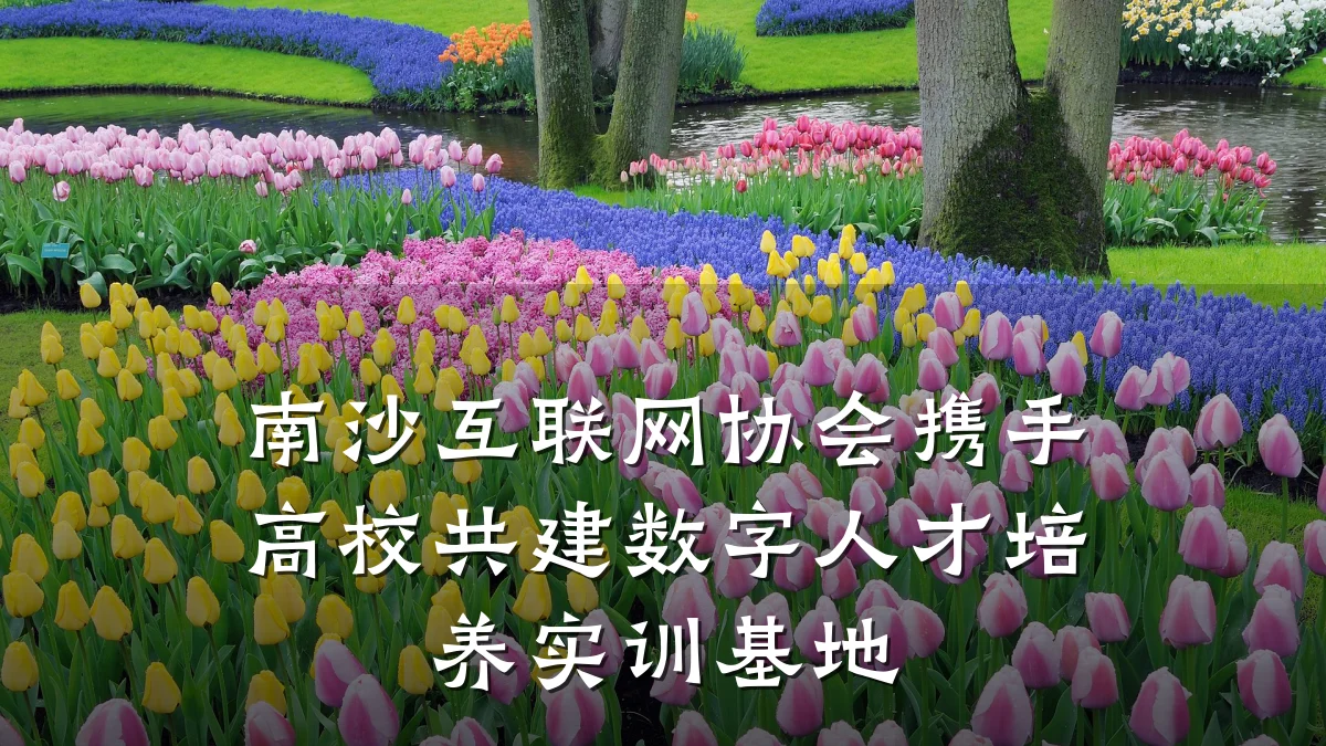 南沙互联网协会携手高校共建数字人才培养实训基地