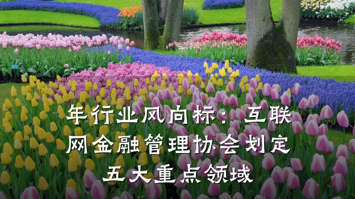 年行业风向标:互联网金融管理协会划定五大重点领域