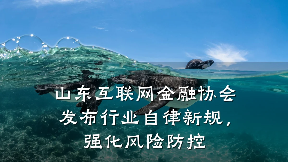 山东互联网金融协会发布行业自律新规,强化风险防控