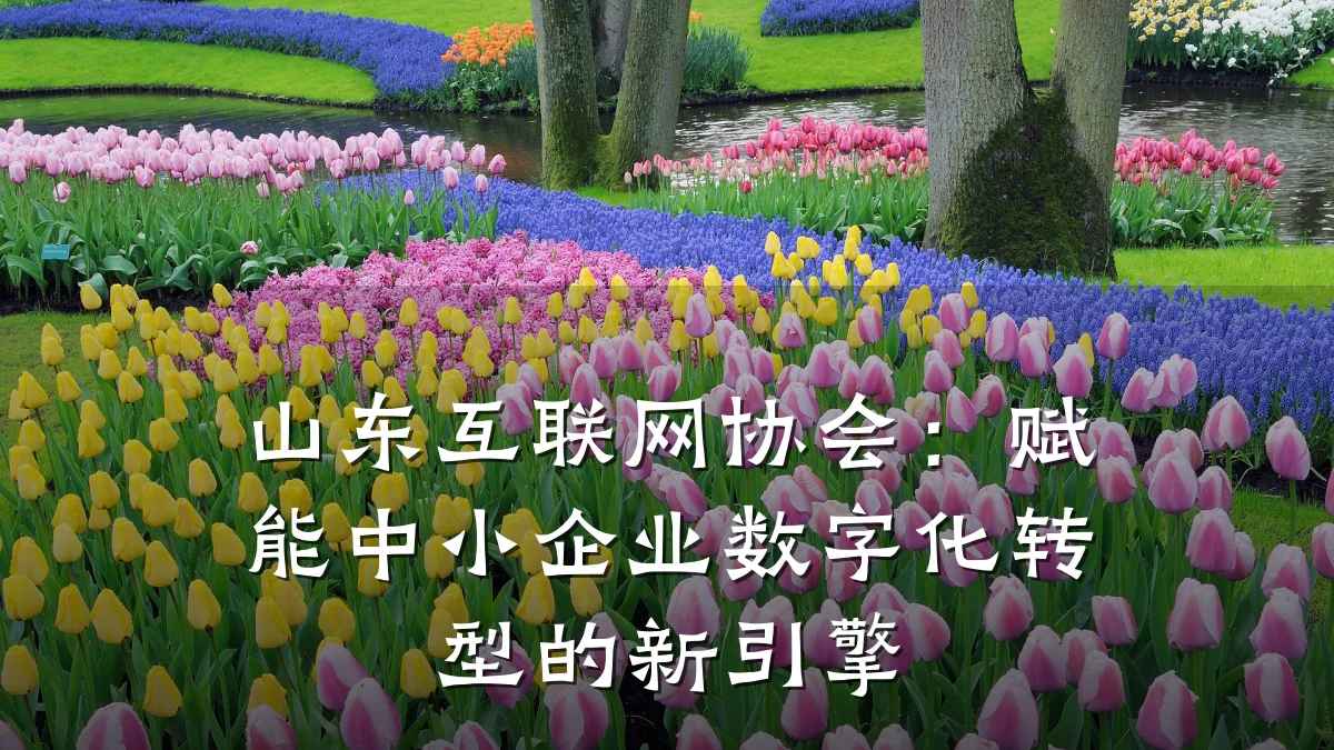 山东互联网协会:赋能中小企业数字化转型的新引擎