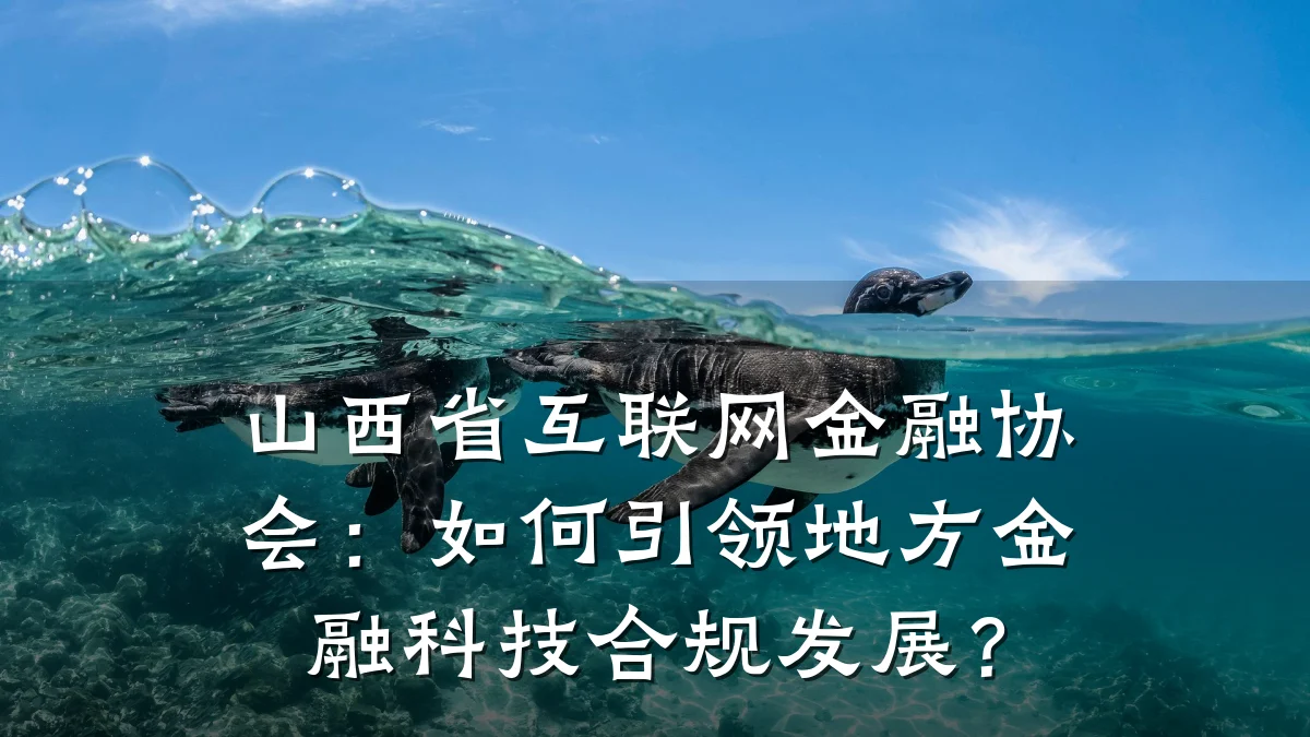 山西省互联网金融协会:如何引领地方金融科技合规发展?