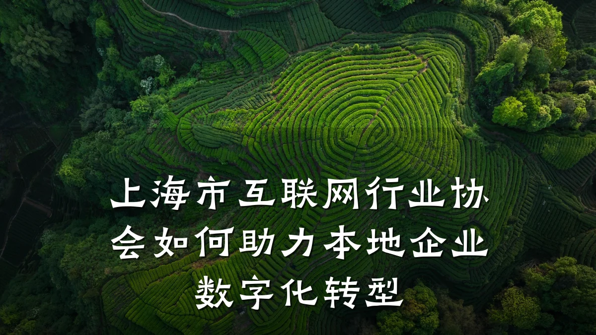 上海市互联网行业协会如何助力本地企业数字化转型