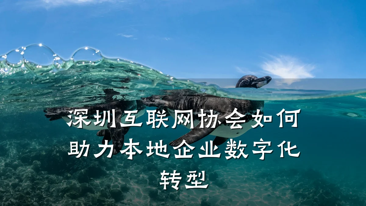 深圳互联网协会如何助力本地企业数字化转型