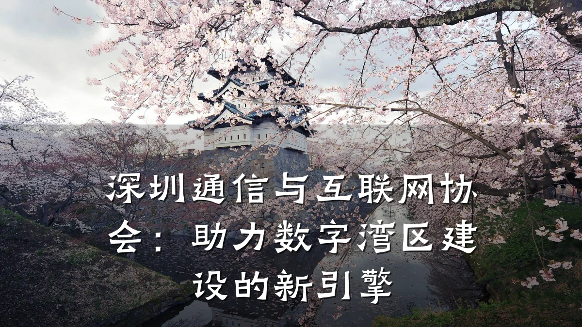 深圳通信与互联网协会:助力数字湾区建设的新引擎