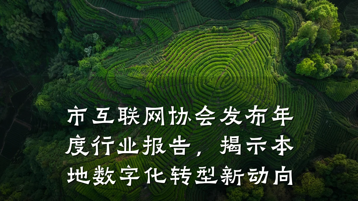 市互联网协会发布年度行业报告，揭示本地数字化转型新动向