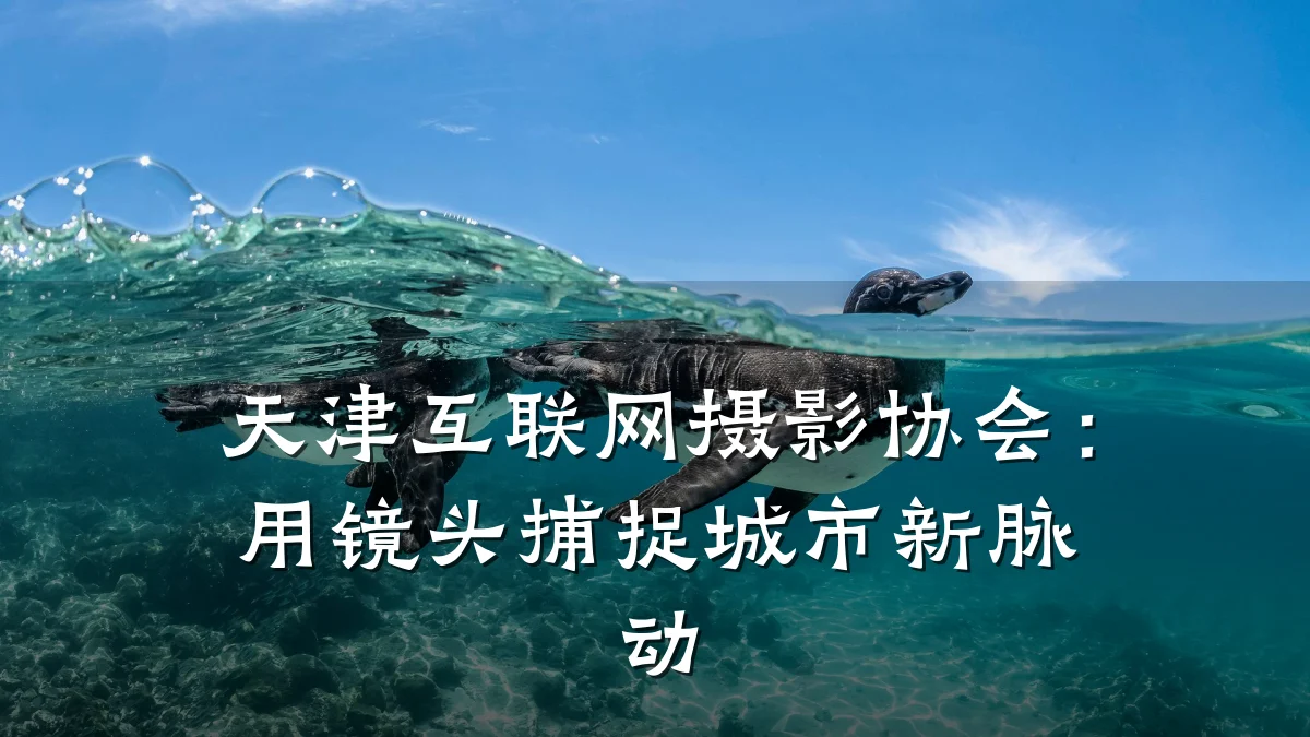 天津互联网摄影协会:用镜头捕捉城市新脉动