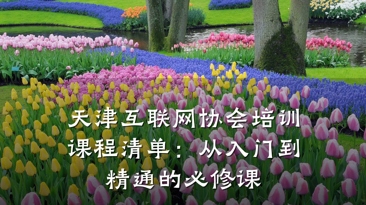 天津互联网协会培训课程清单:从入门到精通的必修课