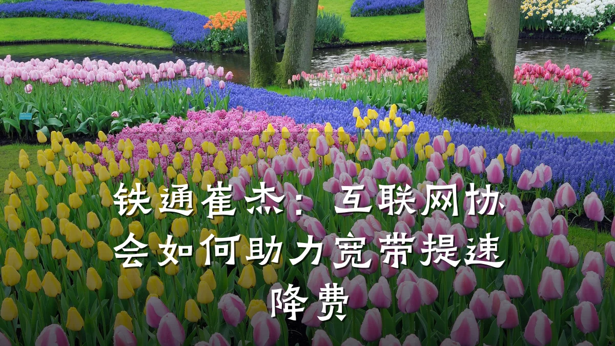 铁通崔杰:互联网协会如何助力宽带提速降费