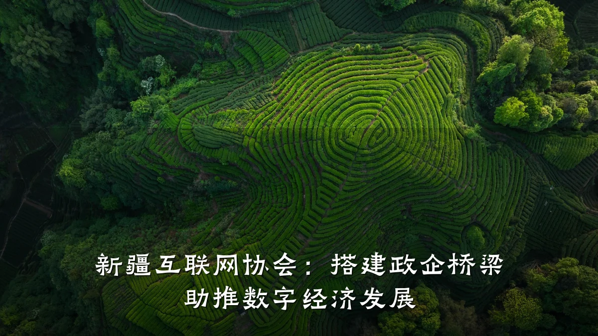 新疆互联网协会:搭建政企桥梁 助推数字经济发展