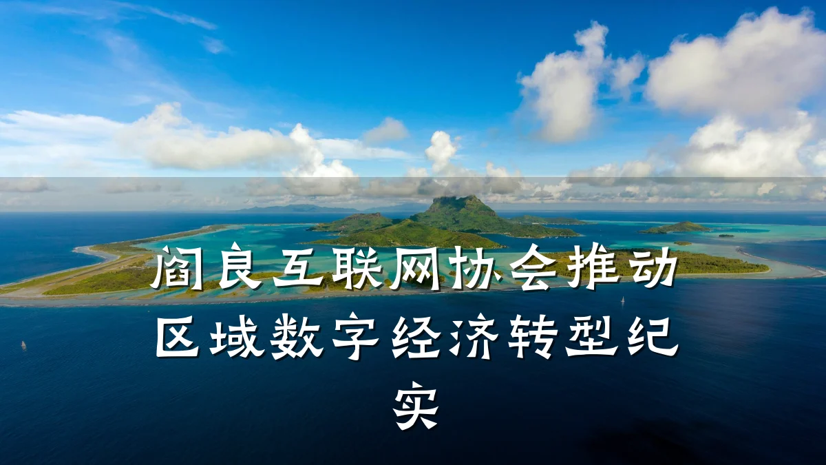阎良互联网协会推动区域数字经济转型纪实