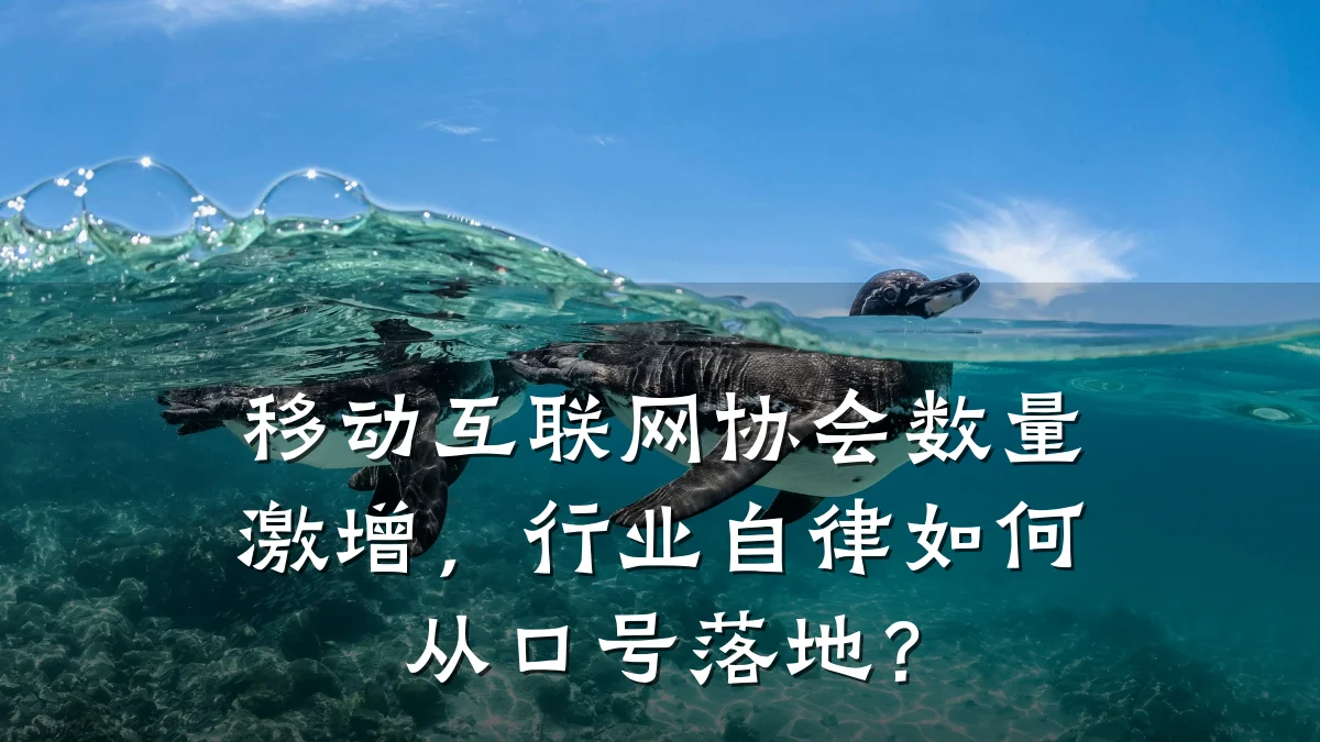 移动互联网协会数量激增，行业自律如何从口号落地？