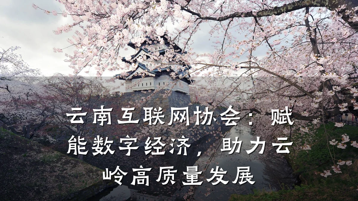 云南互联网协会:赋能数字经济,助力云岭高质量发展