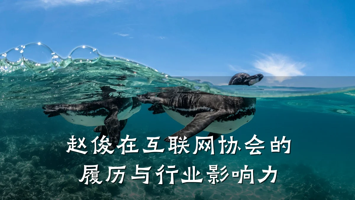 赵俊在互联网协会的履历与行业影响力