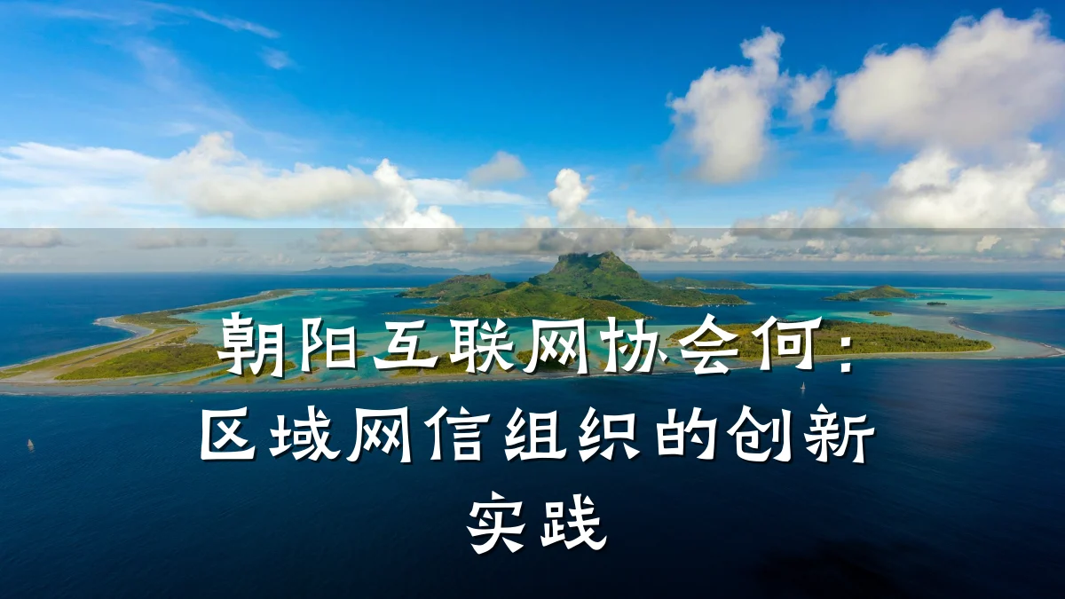 朝阳互联网协会何：区域网信组织的创新实践