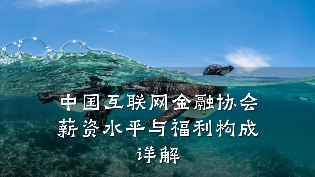 中国互联网金融协会薪资水平与福利构成详解