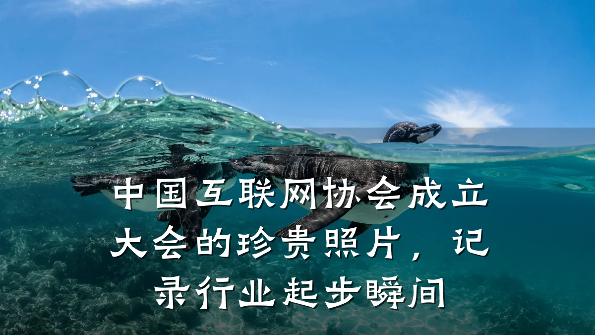 中国互联网协会成立大会的珍贵照片,记录行业起步瞬间