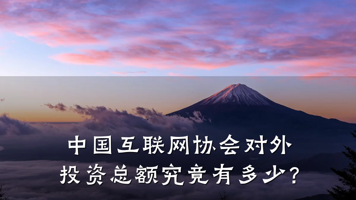 中国互联网协会对外投资总额究竟有多少?