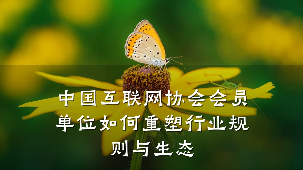 中国互联网协会会员单位如何重塑行业规则与生态