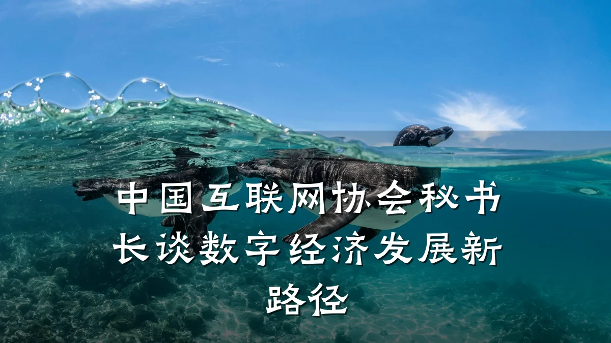 中国互联网协会秘书长谈数字经济发展新路径