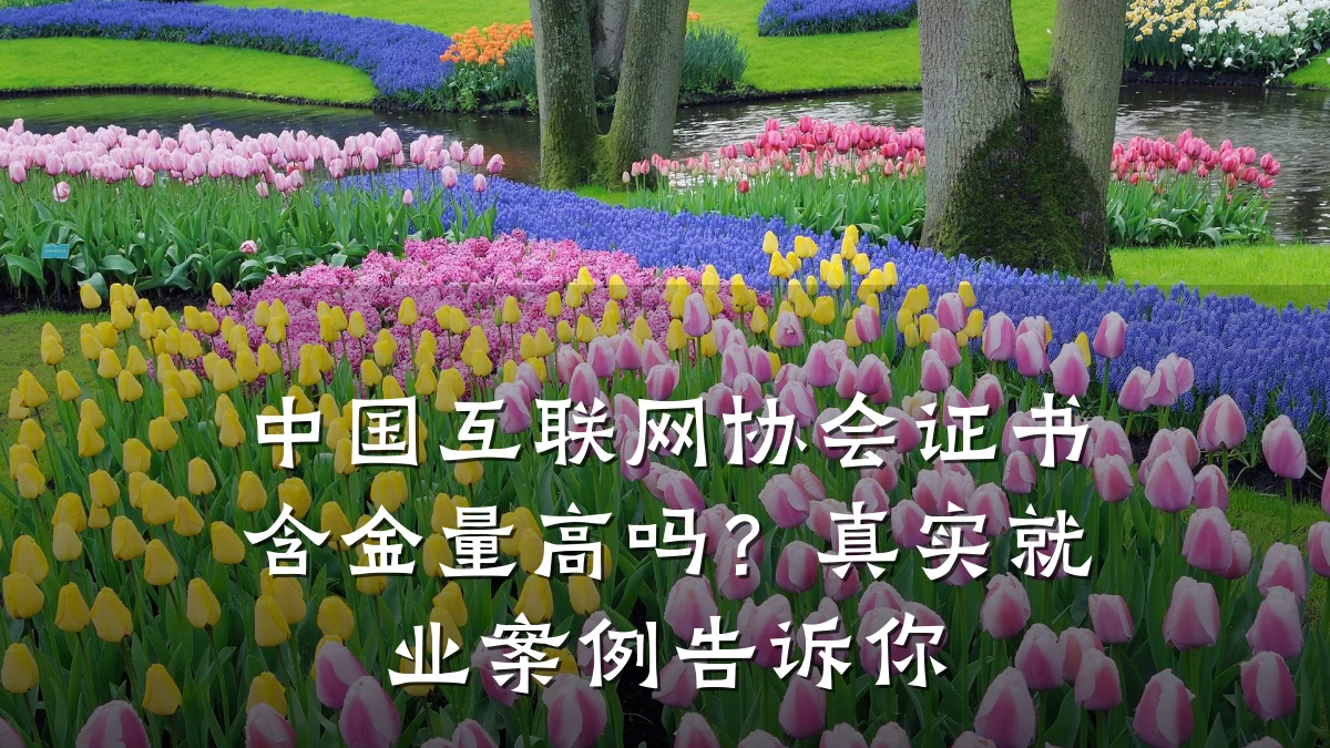 中国互联网协会证书含金量高吗?真实就业案例告诉你