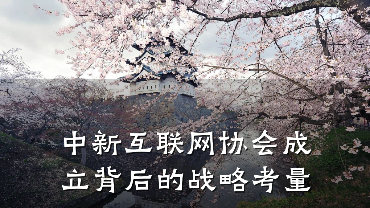 中新互联网协会成立背后的战略考量