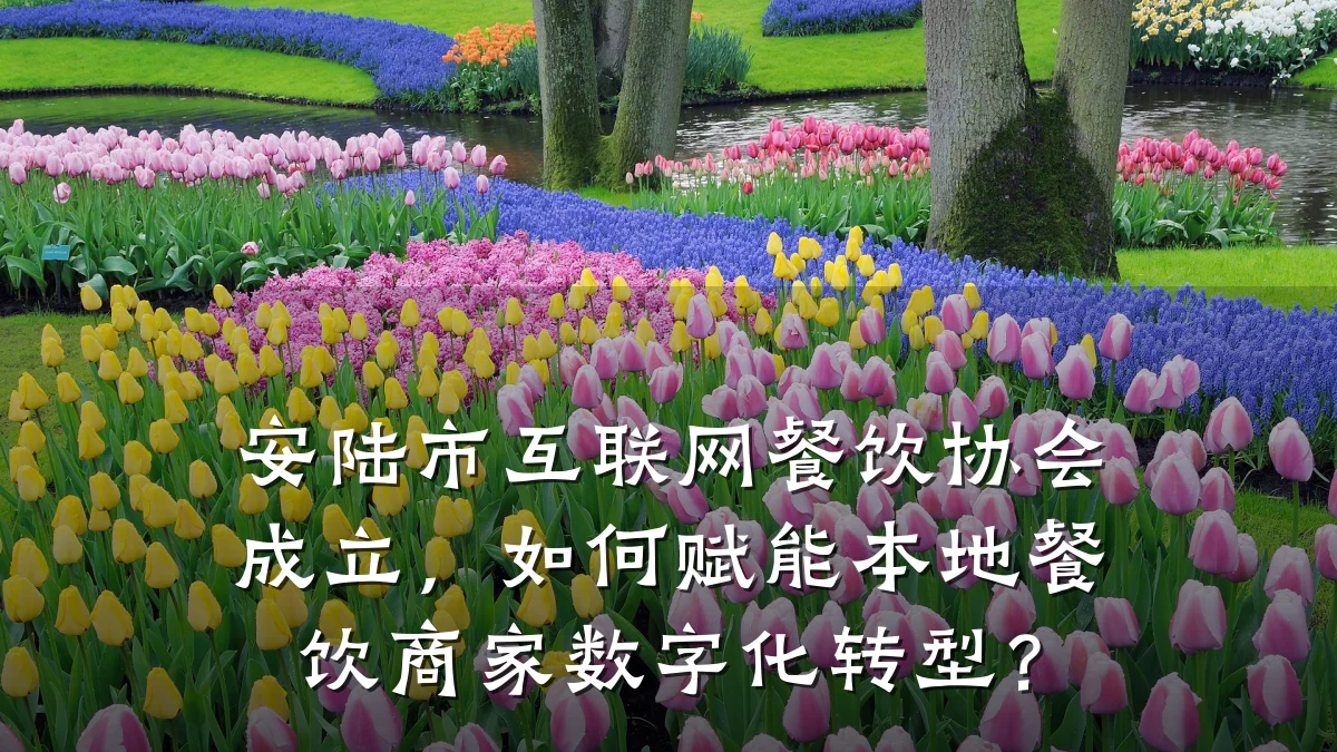 安陆市互联网餐饮协会成立,如何赋能本地餐饮商家数字化转型?