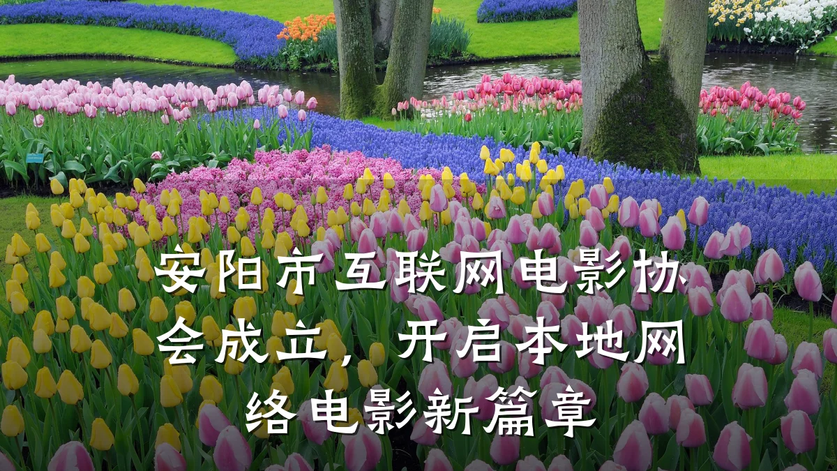 安阳市互联网电影协会成立,开启本地网络电影新篇章
